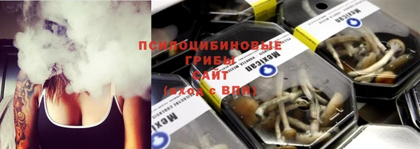 ECSTASY Бородино