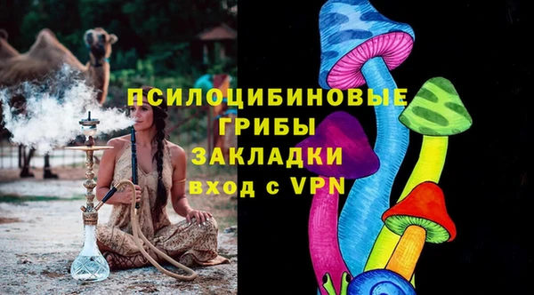 COCAINE Богородицк