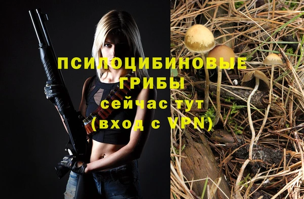 сатива Богданович
