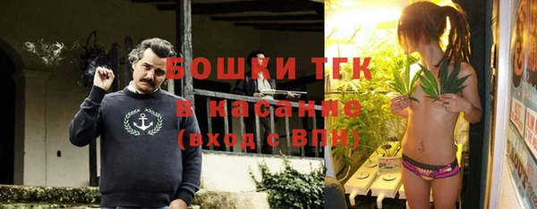 сатива Богданович